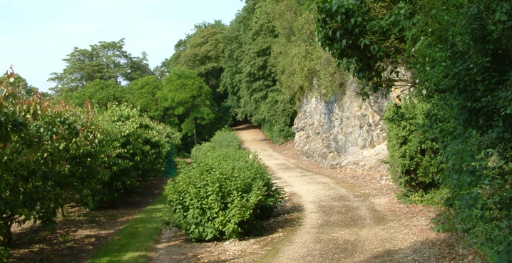 garden solesmes