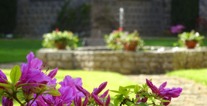 garden of the cloister