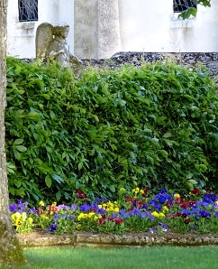 angel abbey solesmes